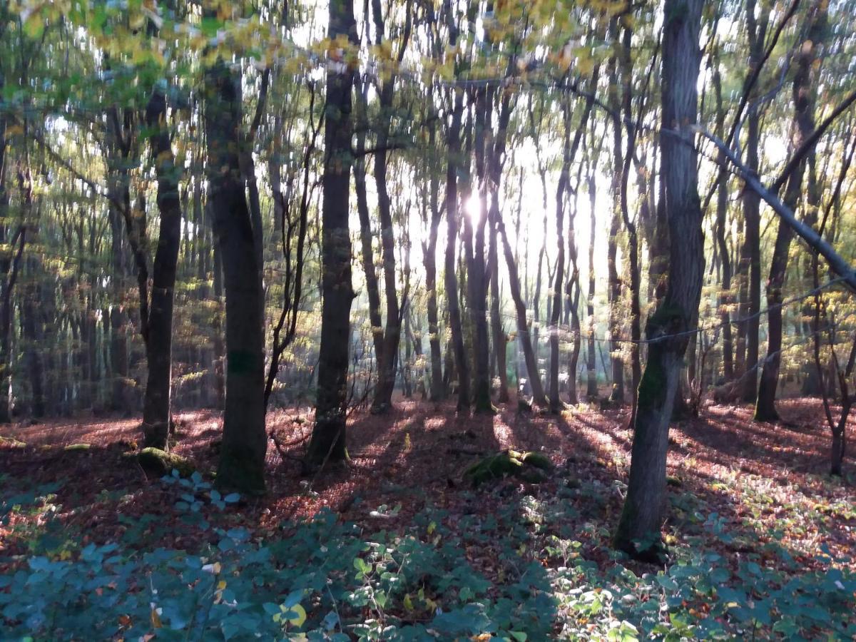 Reuter Niederzissen